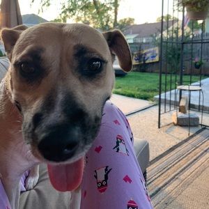 Meet your Posher, Lacey